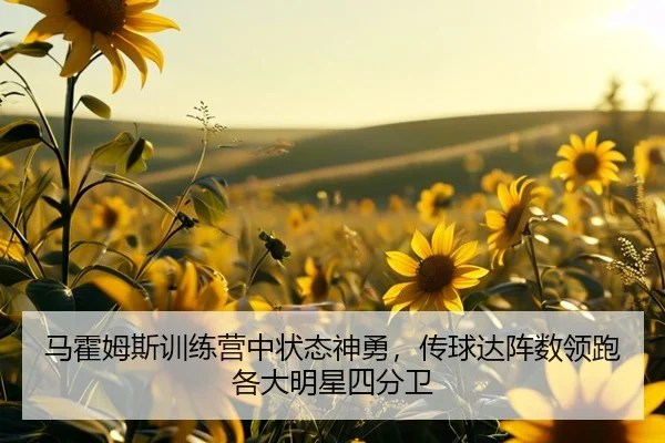 马霍姆斯训练营中状态神勇，传球达阵数领跑各大明星四分卫