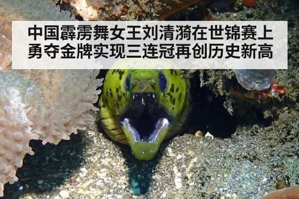 中国霹雳舞女王刘清漪在世锦赛上勇夺金牌实现三连冠再创历史新高