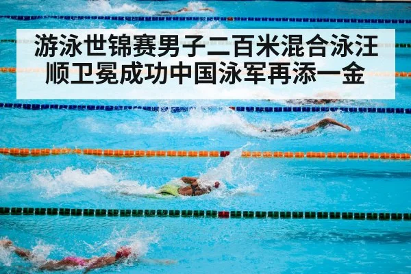 游泳世锦赛男子二百米混合泳汪顺卫冕成功中国泳军再添一金