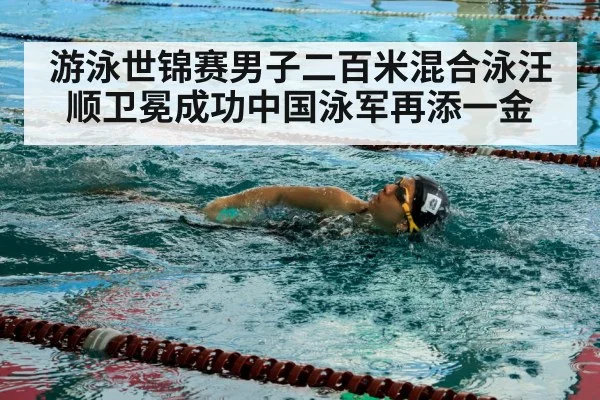 swimmer freestyle