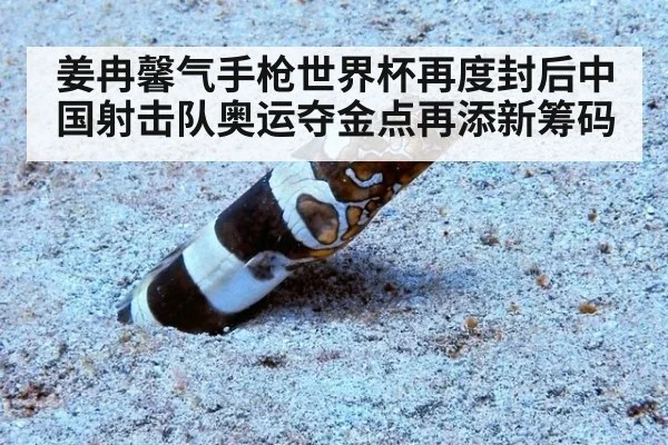 姜冉馨气手枪世界杯再度封后中国射击队奥运夺金点再添新筹码